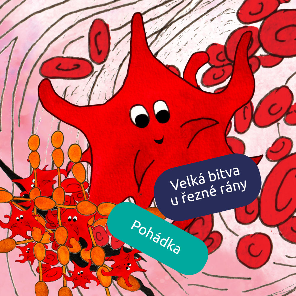 Krvinka a velká bitva u řezné rány